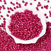 Baking Paint Pearlized Glass Seed Beads SEED-T008-03O-2
