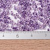 MIYUKI Delica Beads X-SEED-J020-DB1754-4