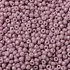 MIYUKI Round Rocailles Beads SEED-JP0009-RR0599-3