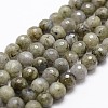 Natural Labradorite Beads Strands X-G-D840-10-8mm-1