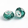 Handmade Glass European Beads LS-X-GPDL25Y-68-2