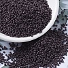 MIYUKI Round Rocailles Beads X-SEED-G007-RR0497-1