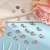 Preciosa&reg MAXIMA Crystal Fancy Stones X-PRC-FD12-70530-2