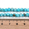 Natural Persian Jade Beads Strands G-A255-A02-04H-5