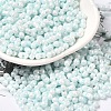 Opaque Colours Luster Glass Seed Beads SEED-B001-01A-02-1