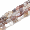 Natural Botswana Agate Beads Strands G-S331-8x10-010-1