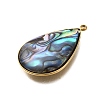 304 Stainless Steel Pave Natural Paua Shell Pendants STAS-Z125-01F-G-2