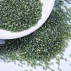 MIYUKI Delica Beads LS-X-SEED-J020-DB1247-1