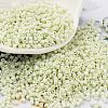 Baking Paint Glass Seed Beads X-SEED-S042-05B-63-1