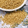 MIYUKI Delica Beads SEED-X0054-DB2186-1