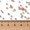 Glass Seed Beads X-SEED-S042-13A-17-4