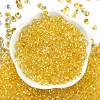 6/0 Spray Paint Fringe Glass Seed Beads X1-SEED-H003-11A-3