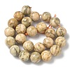 Natural Feldspar Beads Strands G-F818-A06-16mm-02-3