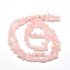 Natural Rose Quartz Chip Bead Strands X-G-M205-02-2