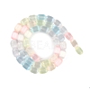 Macaron Color Natural Selenite Beads Strands G-F750-M03-02-3
