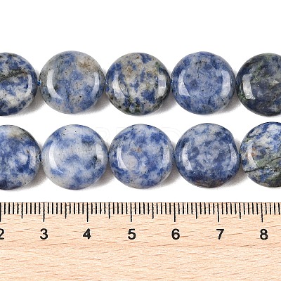 Natural Blue Spot Jasper Beads Strands G-L648-B08-15mm-1