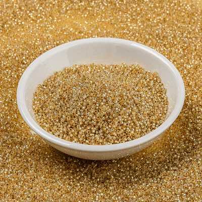 MIYUKI Round Rocailles Beads X-SEED-G009-RR0552-1