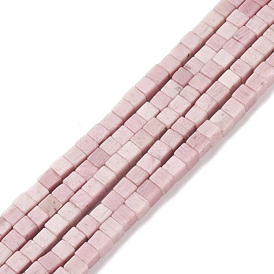 Natural Rhodonite Beads Strands X-G-F631-K20-1