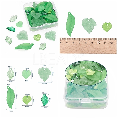 60Pcs 6 Style Transparent & Frosted & Opaque Acrylic Pendants FACR-YW0001-01-1