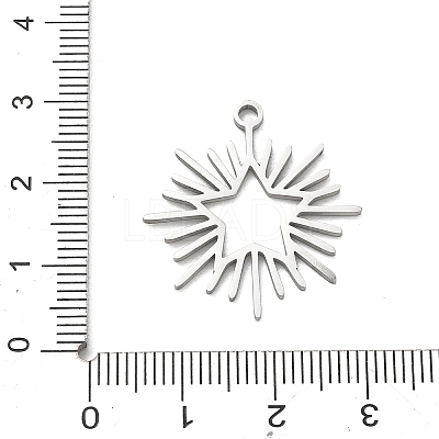304 Stainless Steel Pendants SA-CBAAC28-05P-1