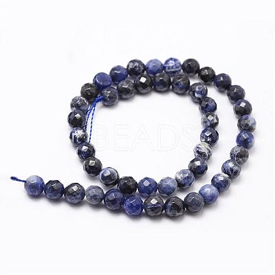 Natural Sodalite Beads Strands G-D840-19-6mm-1