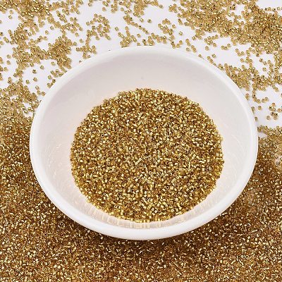 MIYUKI Delica Beads X-SEED-J020-DB2525-1