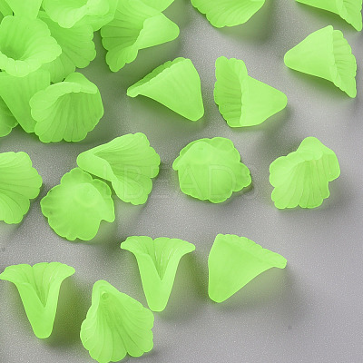 Transparent Acrylic Bead Caps PL551-C18-1
