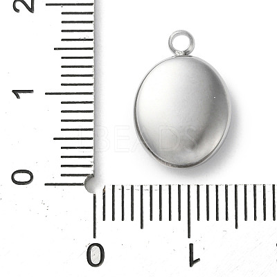 304 Stainless Steel Acrylic Pendants LS-STAS-M091-02E-P-1