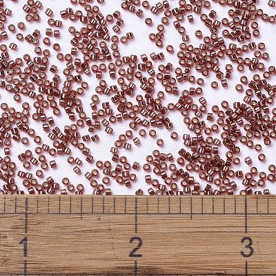 MIYUKI Delica Beads SEED-MY11-DB2160-1