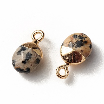 Electroplate Natural Dalmatian Jasper Charms G-S344-09C-1