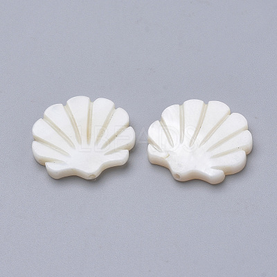 Natural Freshwater Shell Beads SHEL-T007-02-1