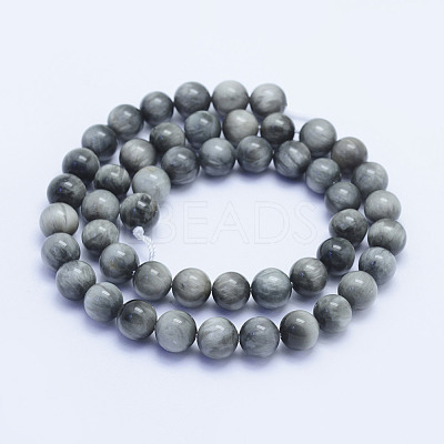 Natural Hawk's Eye Beads Strands G-L478-03-8mm-1