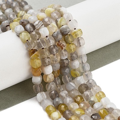 Natural Botswana Agate Beads Strands G-H042-A07-02-1