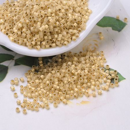 MIYUKI Delica Beads X-SEED-J020-DB0230-1
