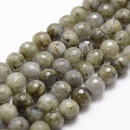 Natural Labradorite Beads Strands X-G-D840-10-8mm-1