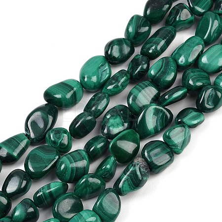 Natural Malachite Beads Strands G-L493-42A-1