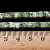 Natural Green Spot Jasper Beads Strands G-A280-C14-01-6