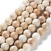 Dyed Natural Regalite/Imperial Jasper/Sea Sediment Jasper Beads Strands X-G-B124-C01-17-1