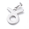 Non-Tarnish 304 Stainless Steel Pendants STAS-L210-06F-P-1