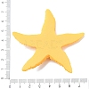 Opaque Resin Cabochons RE-CBA21C0-01B-3