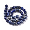 Natural Lapis Lazuli Round Bead Strands G-E262-01-10mm-6