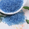 MIYUKI Delica Beads SEED-X0054-DB0113-1