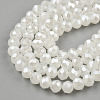 Electroplate Glass Beads Strands EGLA-A044-J4mm-A05-2