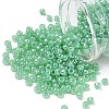 TOHO 6/0 Round Beads SEED-XTR06-0144-1