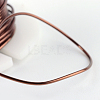 Round Copper Jewelry Wire CWIR-R004-0.4mm-06-3