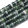 Natural Moss Agate Beads Strand G-A177-01L-01-1