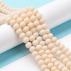 Glass Beads Strands EGLA-A034-P10mm-MD05-2