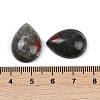 Natural Africa Bloodstone Cabochons G-H094-01A-17-3