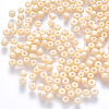 6/0 Baking Paint Glass Round Seed Beads SEED-S036-01C-19-1