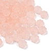 Frosted Transparent Acrylic Beads OACR-P029-03B-02-2